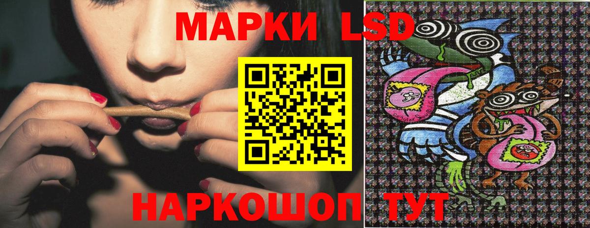 Псилоцибиновые грибы Архангельск