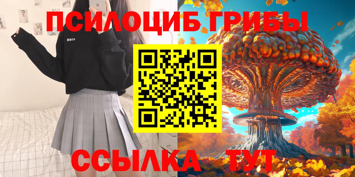 купить   Вход с VPN  Архангельск  Псилоцибиновые грибы Cubensis 