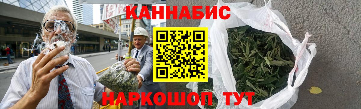 Бошки Шишки план Архангельск